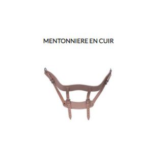 MENTONNIÈRE DE TRACTION CERVICAL