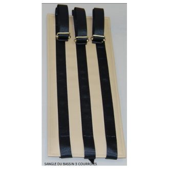 SANGLE DU BASSIN 03 COURROIES