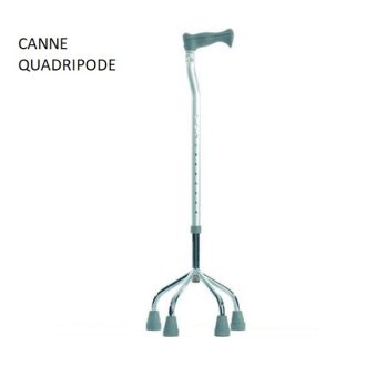CANNE QUADRIPODE