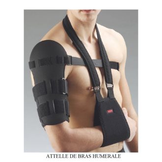 ATTELLE DE BRAS HUMERLAE