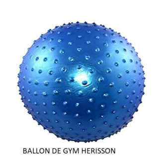 BALLON DE GYM HERISSON