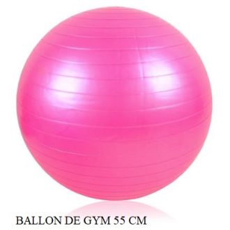 BALLON DE GYM 55 CM
