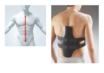 CORSET EN HYPER EXTENSION – Image 2