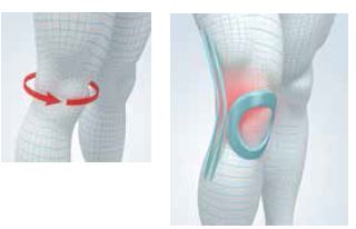 GENOUILLIERE LIGAMENTAIRE TISSEE – Image 2