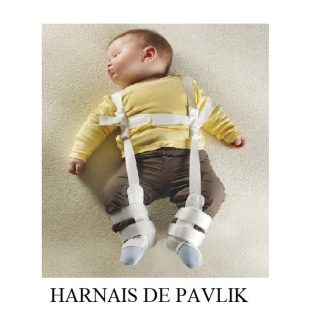 HARNAIS DE PAVLIK